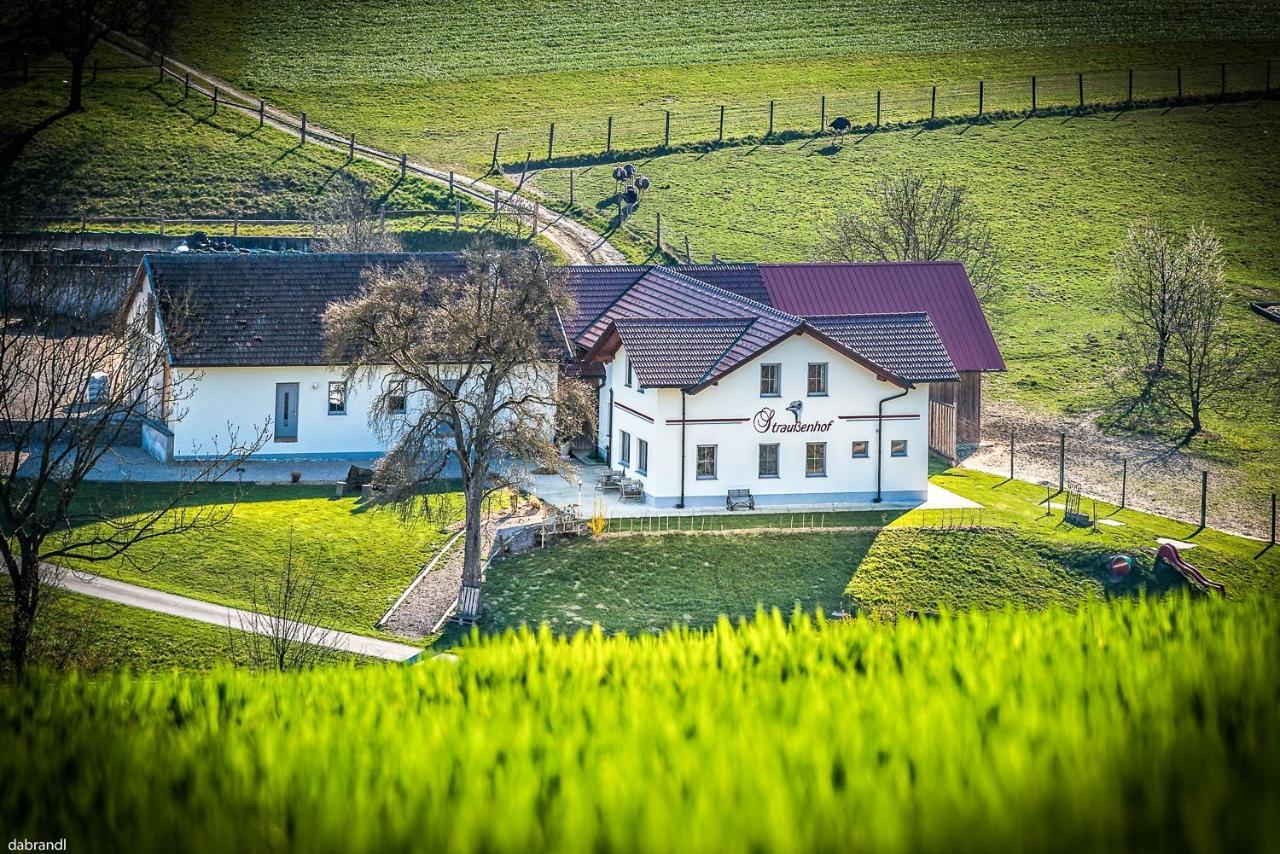 Straussenhof Halmer Farm stay Oberndorf an der Melk