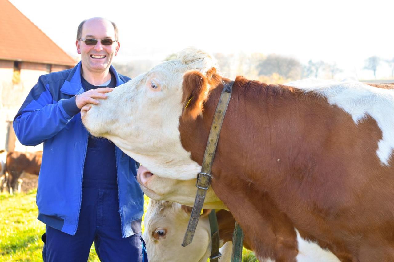 Straussenhof Halmer Farm stay