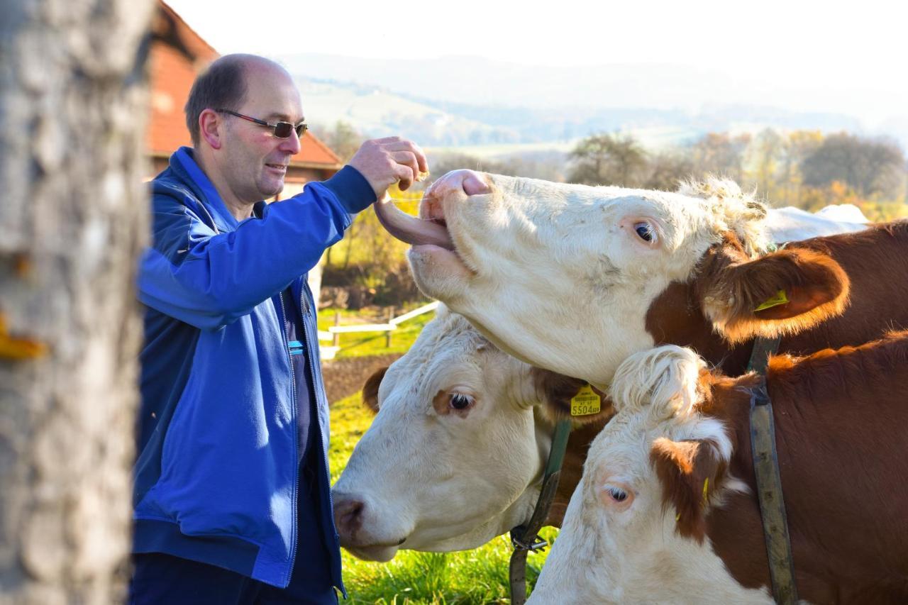 Farm stay Straussenhof Halmer Oberndorf an der Melk