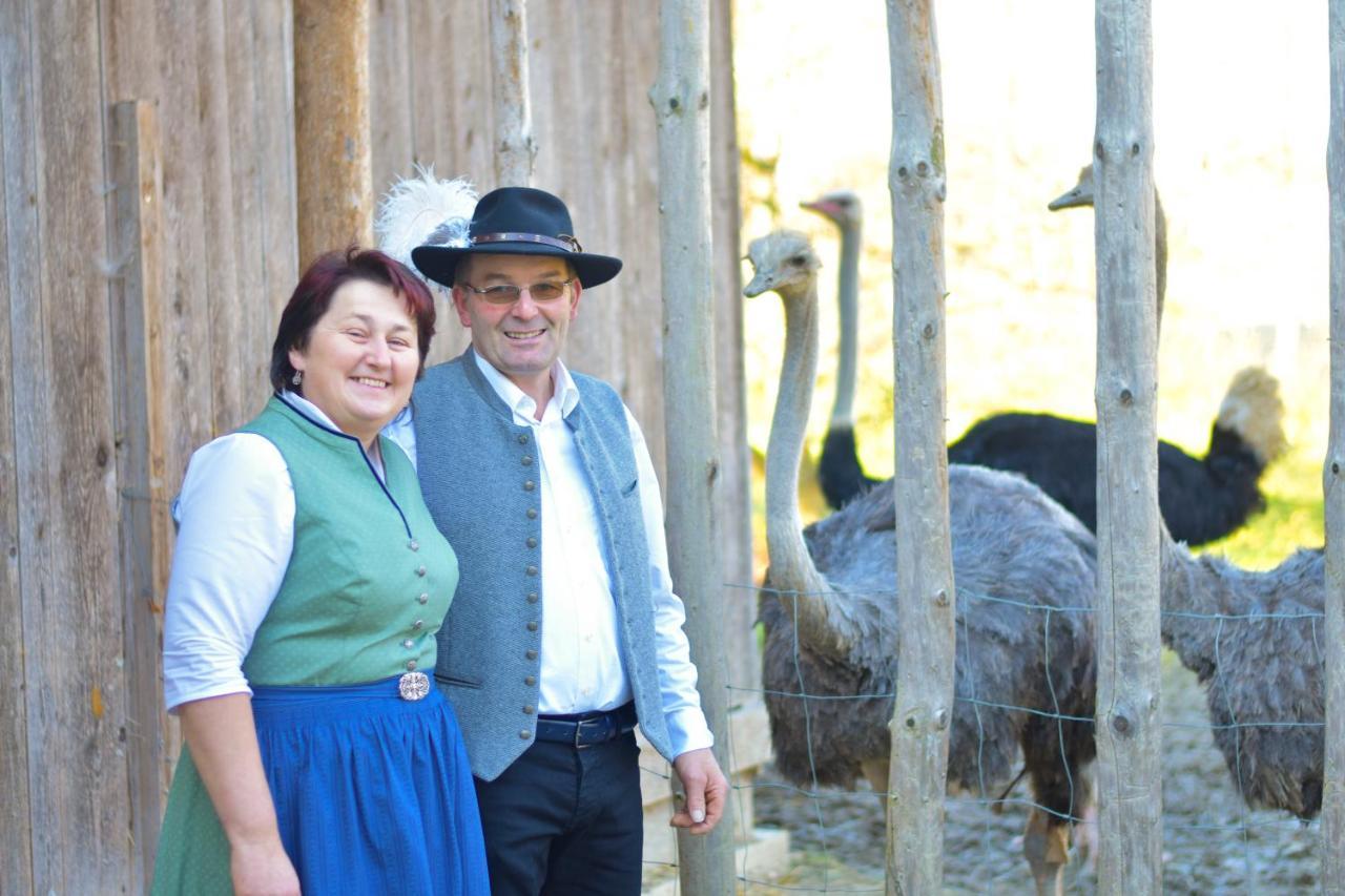 Farm stay Straussenhof Halmer