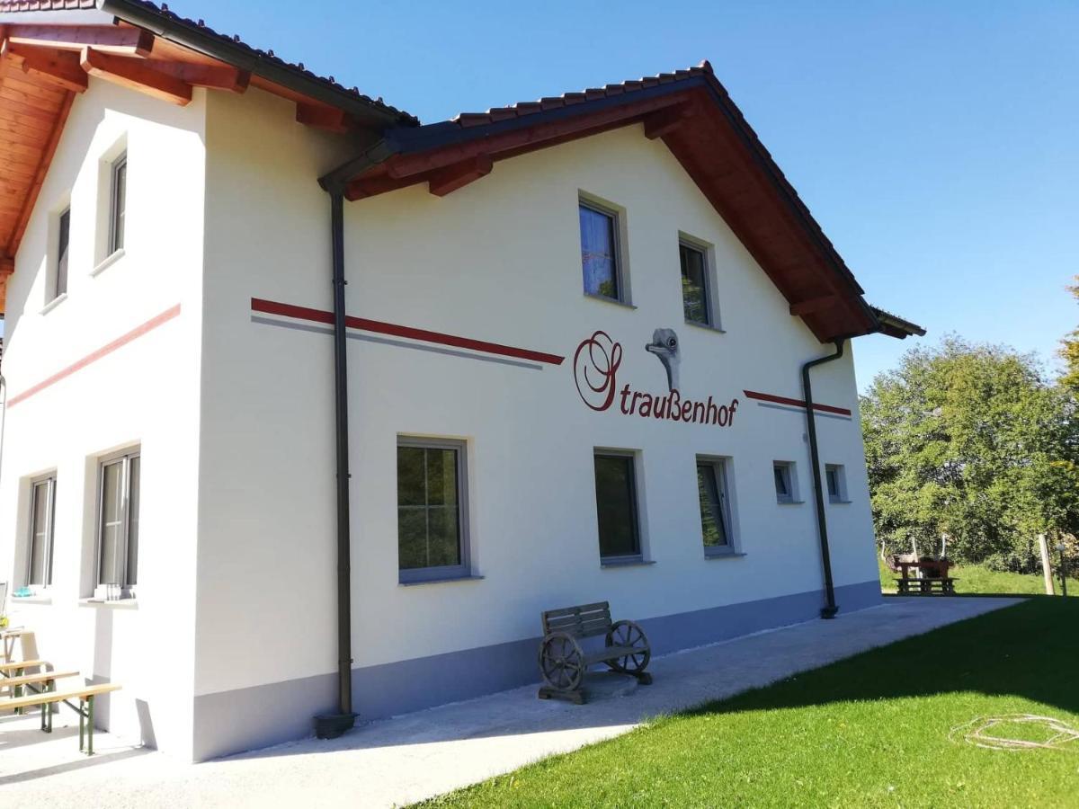 Farm stay Straussenhof Halmer *